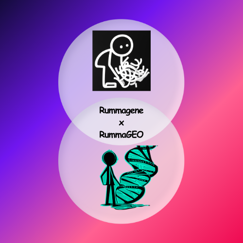 RummagenexRummaGEO